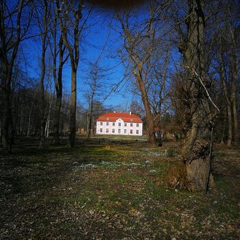 Rps20220502 174953 084