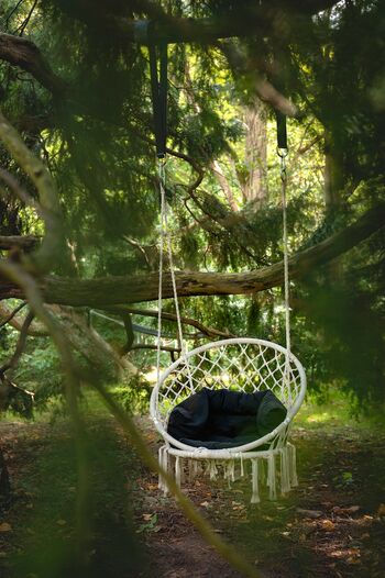 Baumschaukel-neetzow