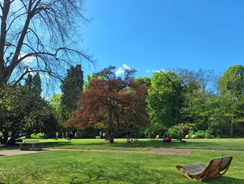 Im Park Badow@alexlotz