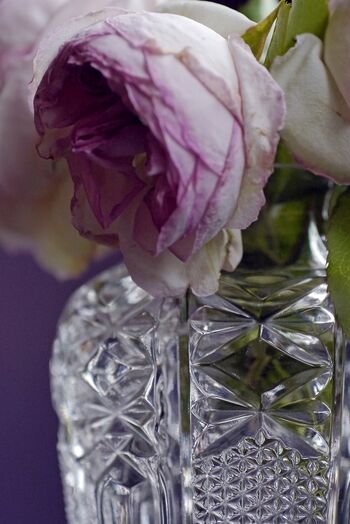 Rose-Vintage-Herrenhaus-viecheln