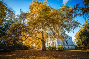 Schloss Kaeselow Herbst
