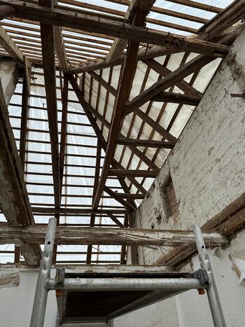 WhatsApp Image 2026-02-10 at 09.24.553456