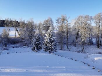 Winterlicher Park-levetzow