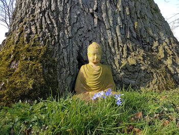 Buddha-saunstorf