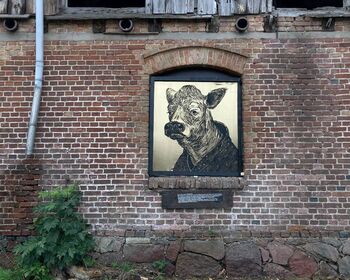 Stall-elsakuh-wiequilow