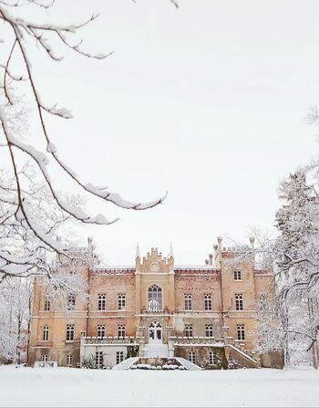 Winterdream-castle-vogelsang