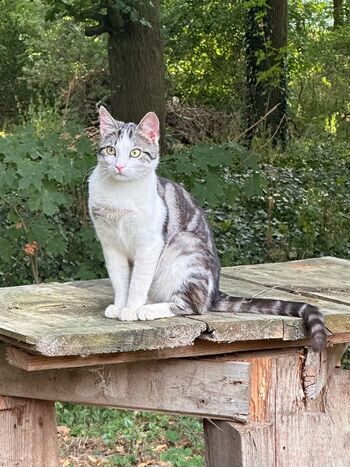 76980DAA-B3FD-4485-94E0-9E3CBD64E86E 1 105 c