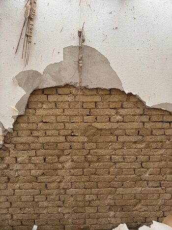 WhatsApp Image 2026-02-10 at 09.24.551