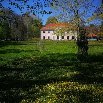 Rps20220502 174756 315