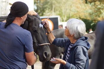 FA8CAD05-3513-4C01-BEDF-170EB3BD7B08