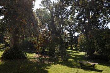 GutZahren SHawlisch 2471