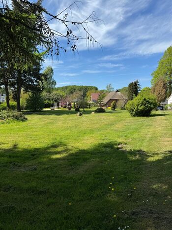 WhatsApp Image 2026-02-10 at 09.24.55