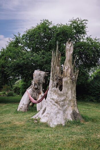 Haengematte-gutshaus-ludorf Kopie
