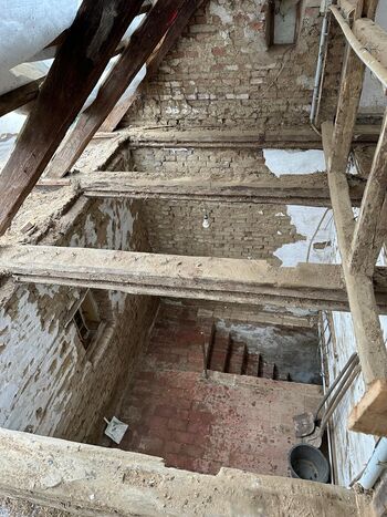 WhatsApp Image 2026-02-10 at 09.24.55789