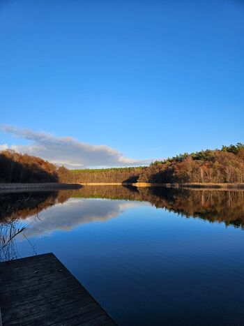 9ebb0ddd-9ecd-4843-8102-0ff6834a215c