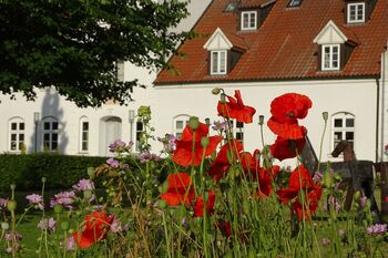 Gutshausgarten RittergutStreu Kopie