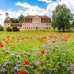 Schloss Kummerow Wildblumen
