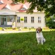 Urlaub mit Hund Gut Zahren