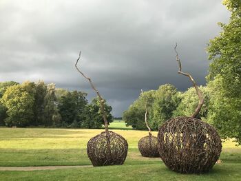 Gut Hohen Luckow Landart