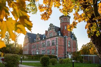 Schlosspark-Bernstorf Kopie