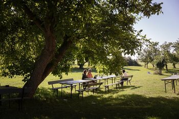 GutZahren SHawlisch 2431