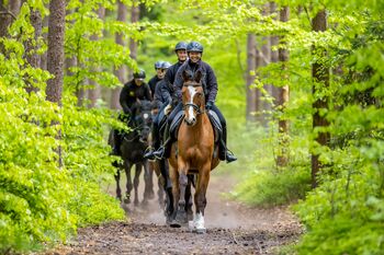 Reiturlaub-Schloss-wedorf