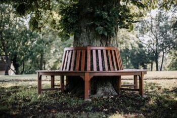 Park Bank unter der Eiche