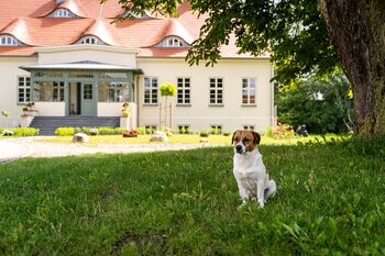 Urlaub mit Hund Gut Zahren