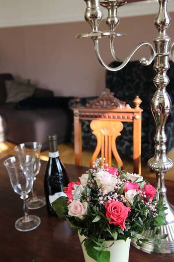 Blumen Badow FeWo2@alexlotz