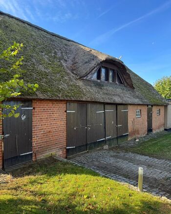 WhatsApp Image 2026-02-10 at 09.24.5534