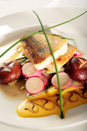 Fisch 600