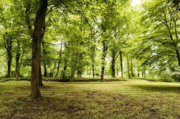 Lennepark gutneuensund