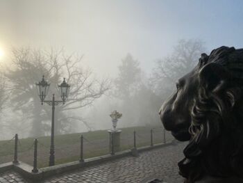 Nebelmorgen burg schlitz