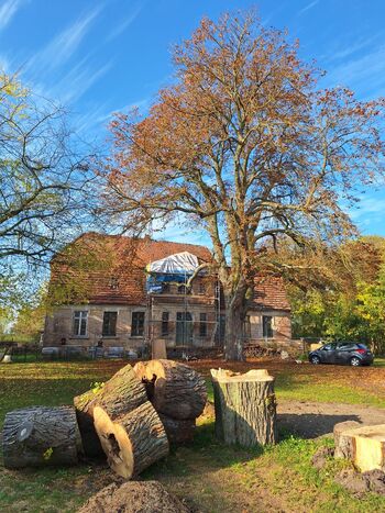 58f3affe-c428-48be-a7c6-a32f422105c8