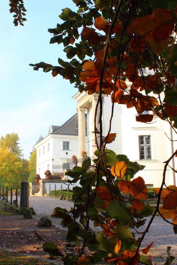 HerbstlaubBurgSchlitzJPG Kopie