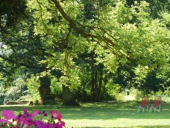 Gutshaus-Pohnstorf-Park