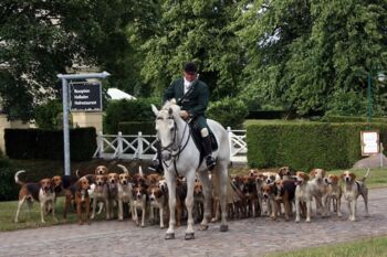 2018 - Dalwitz - Meute - Jagd Kopie