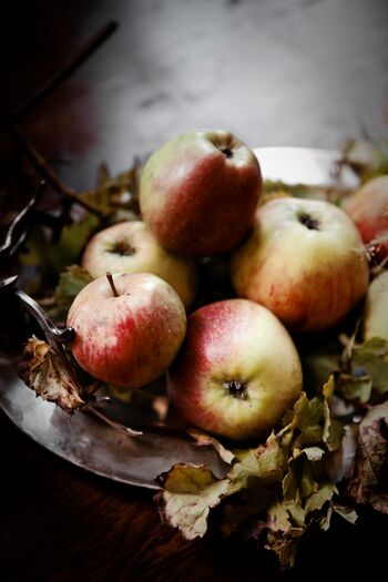 Apfel SchlossMarihn Kopie