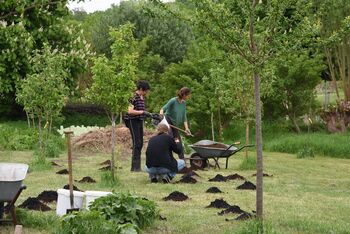 Gut karnitz Pflanzungen Kopie