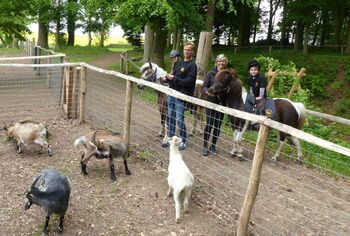 Ponyreiten Streichelzoo Wendorf