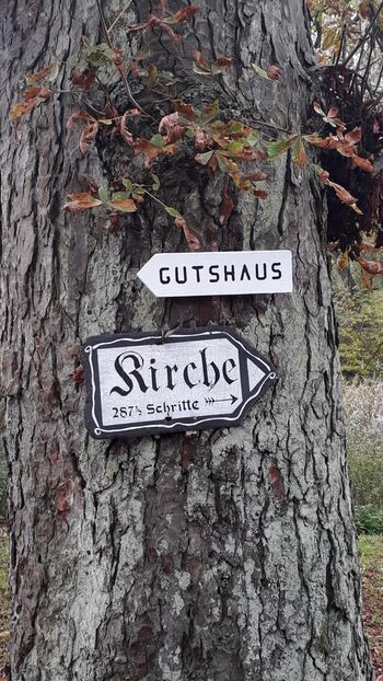 3ae9ba5a-ca24-46f0-94af-ba55e963df42