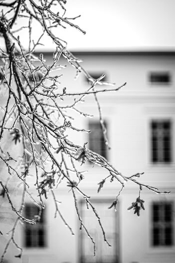 Gut Rossin ©ChristianRothlübbers 0320