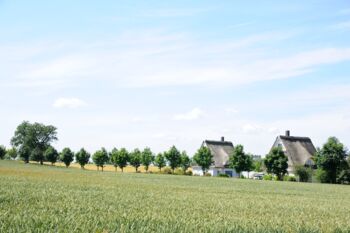 Landschaft-schlosshotel-schwansee-mecklenburg