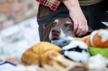 PHOTO-2025-12-29-17-48-14 39