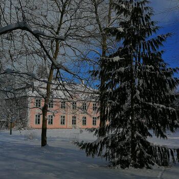 Rps20220502 175238 755