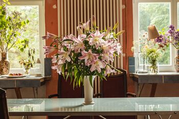 Blumen-GutBattinsthal. Kopie