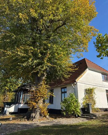 WhatsApp Image 2026-02-10 at 09.24.5544