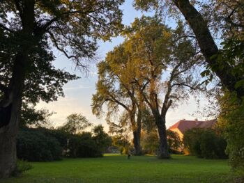 Park-gut-zahren