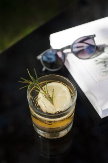 Drink Schloss Neetzow 