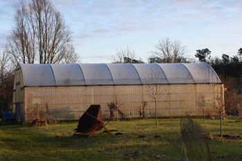 Karnitz gewaechshaus